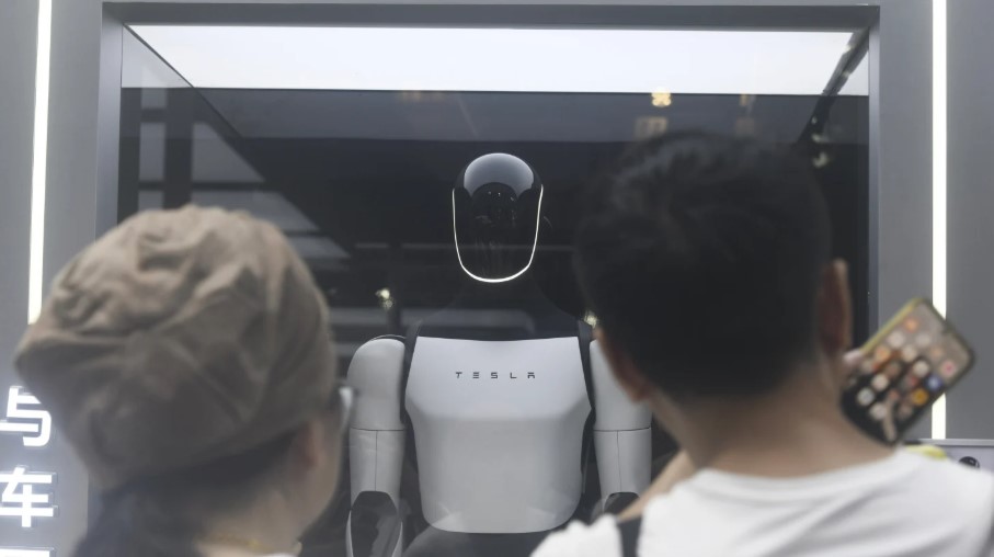 Elon Musk and Tesla Robots